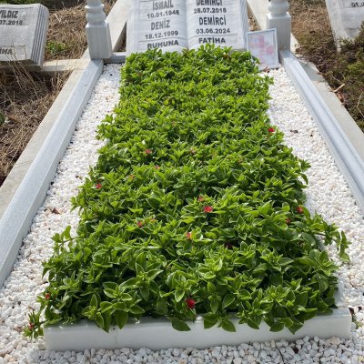 Mezar Peyzaj 4